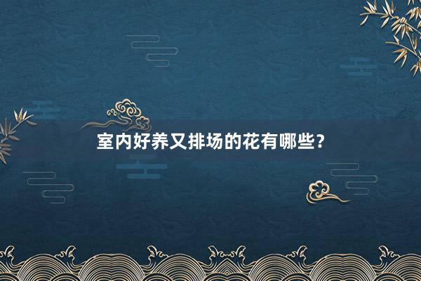 室内好养又排场的花有哪些？