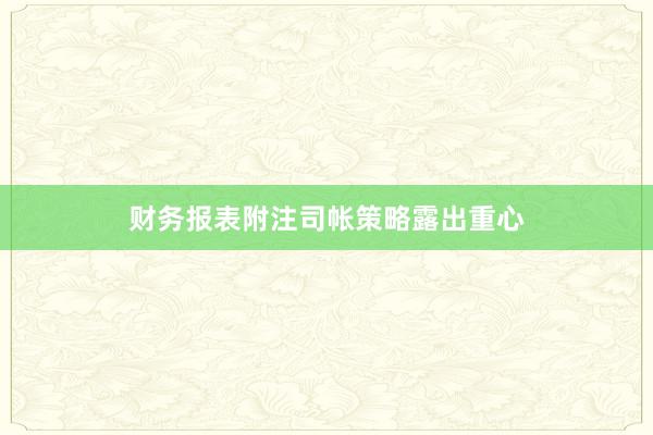 财务报表附注司帐策略露出重心